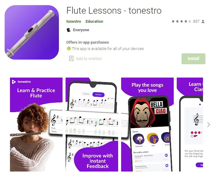 Flute Lessons - Tonestro